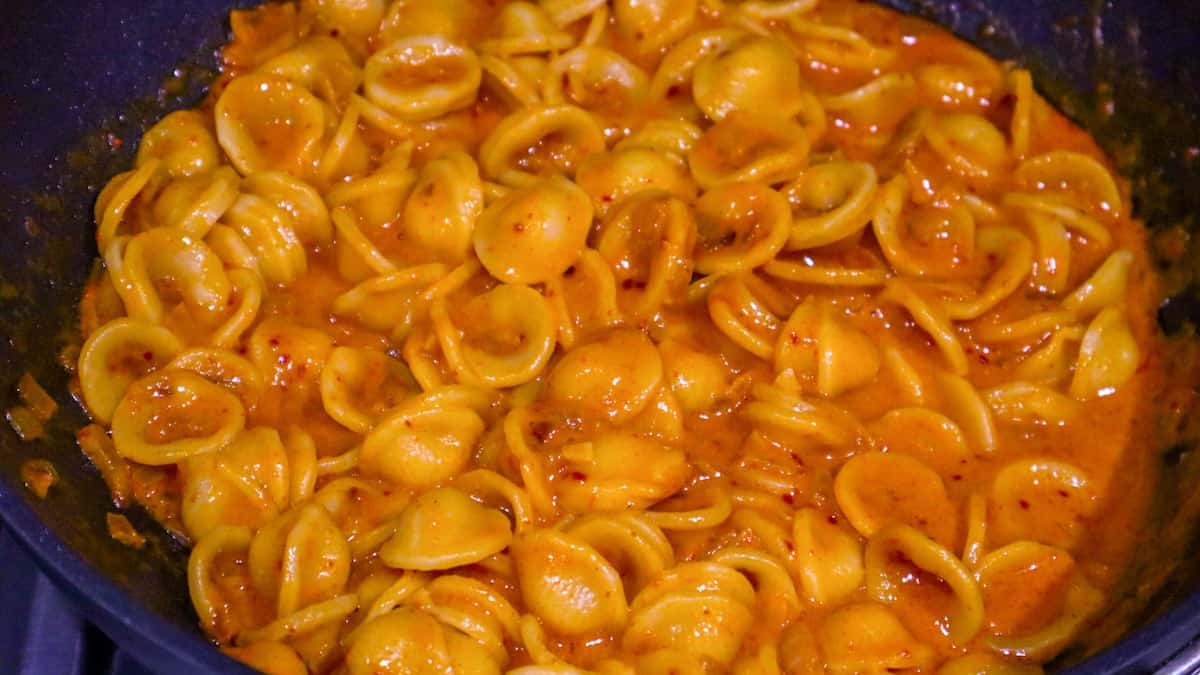 Vegan Gigi Hadid pasta with thick luscious sauce