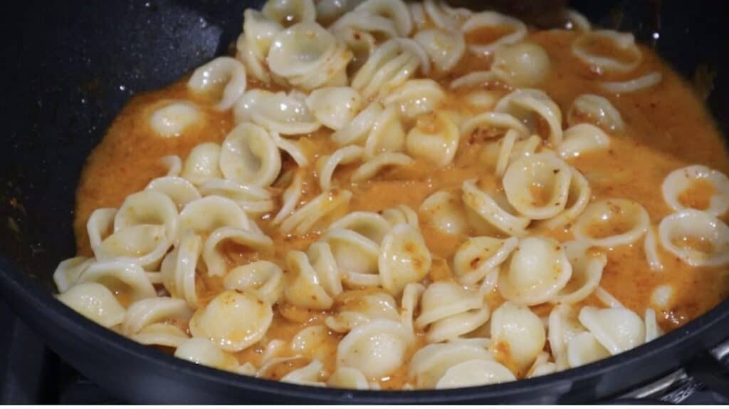 Vegan Gigi Hadid pasta recipe without vodka