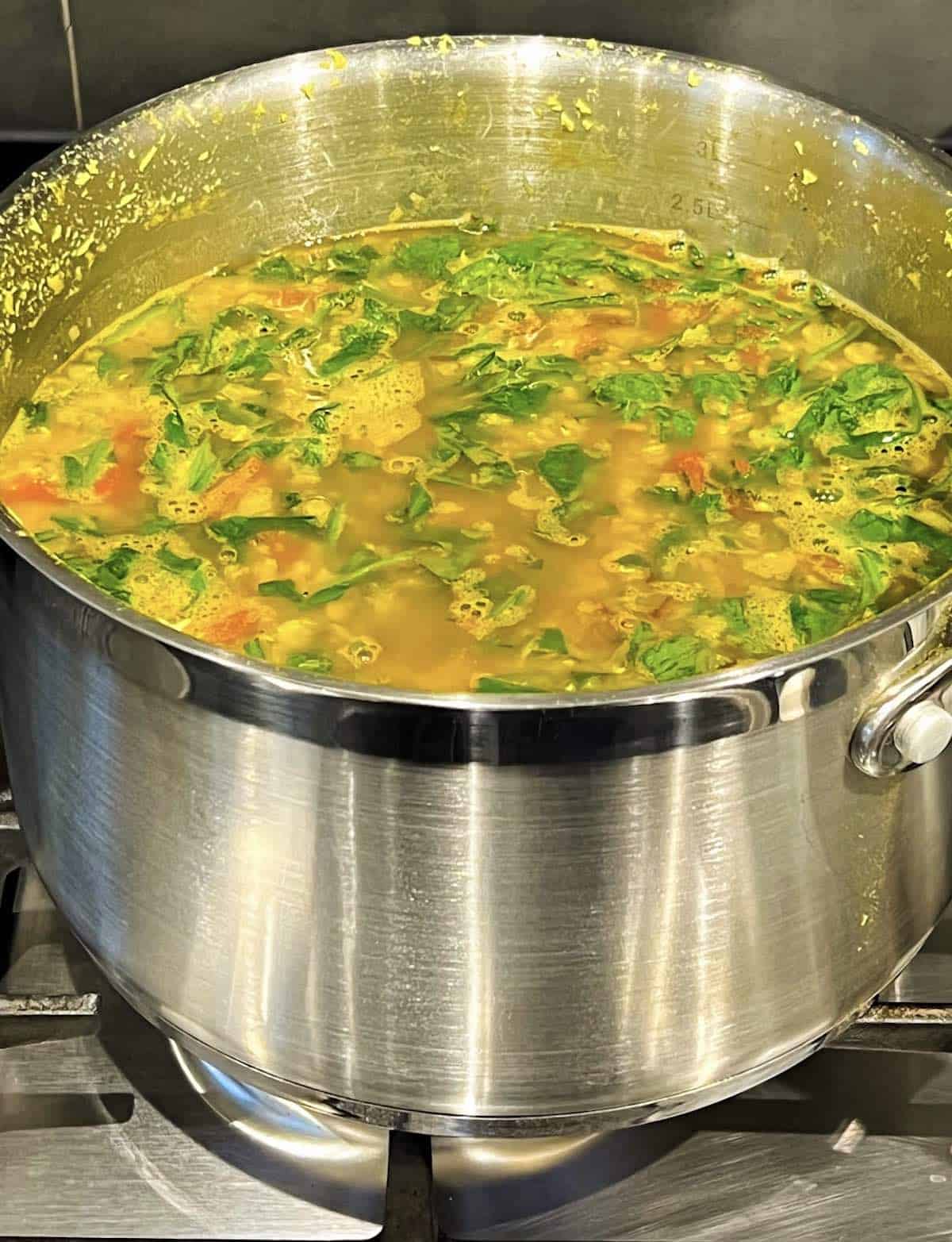 spinach in the dal